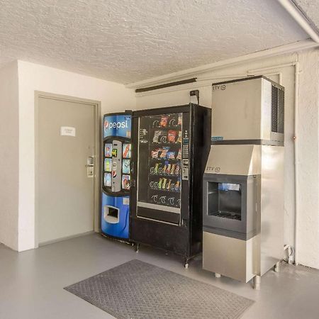 Quality Inn Bradenton - Sarasota North Dış mekan fotoğraf